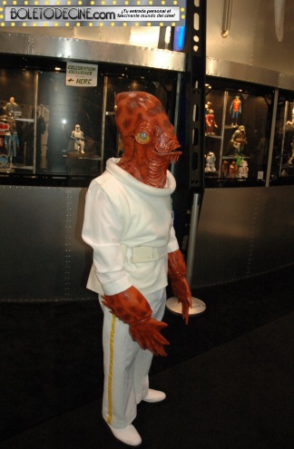 celebration VI pic 7